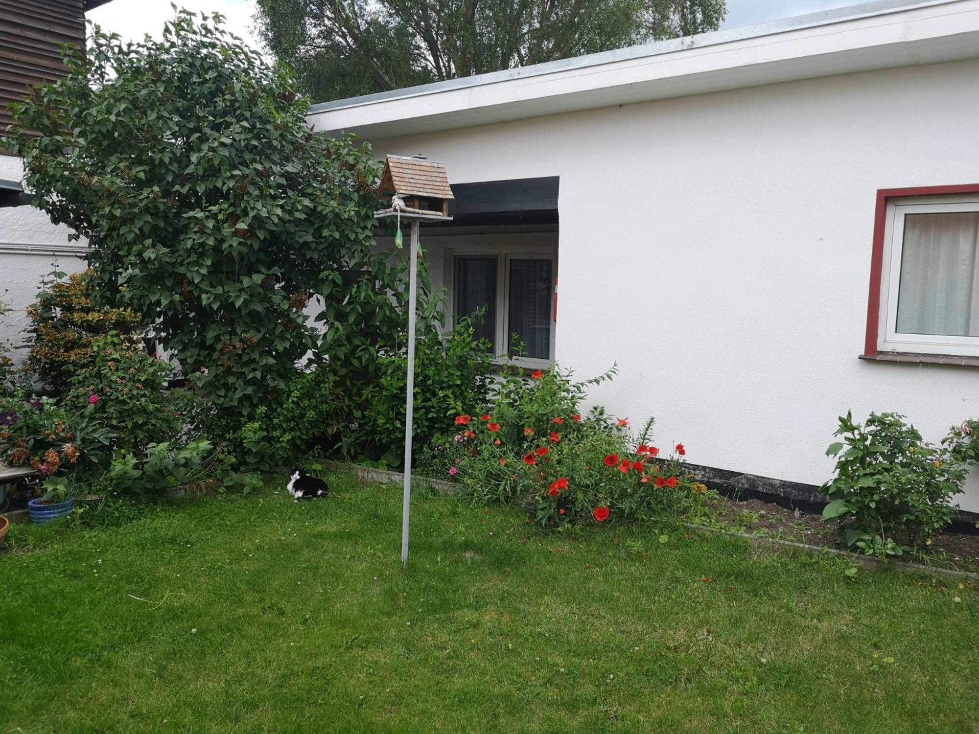 Uschi'S Gasthof Neuendorf  Bagian luar foto